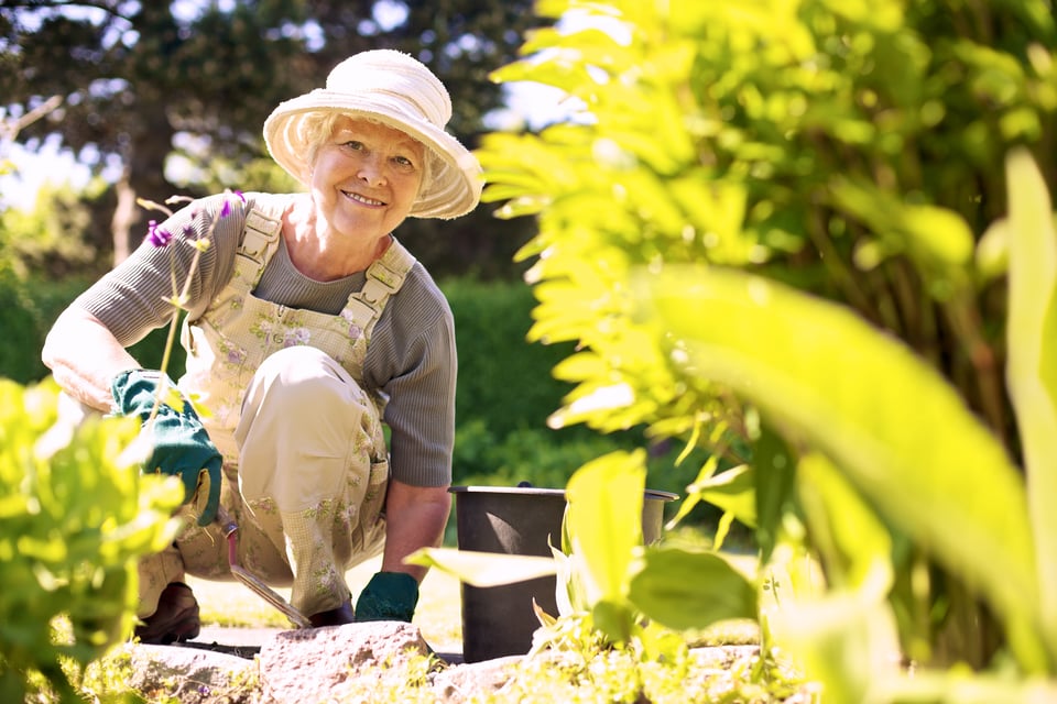 6 Benefits of Gardening for Seniors