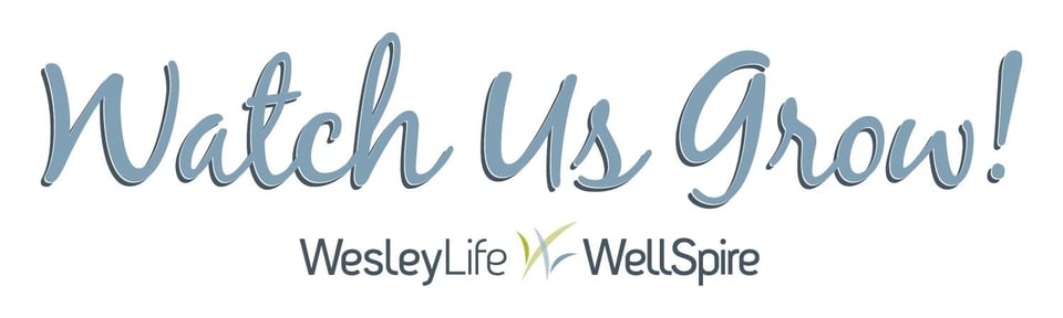 'Watch Us Grow' at Wesley Acres! - WesleyLife