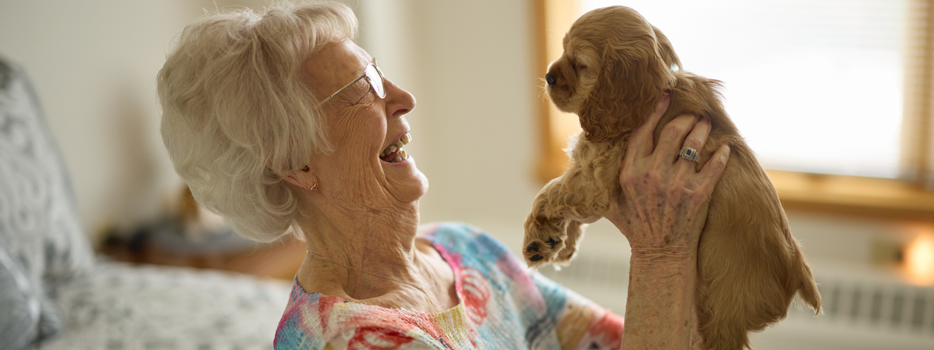 Wesley_Atlantic_333_mini